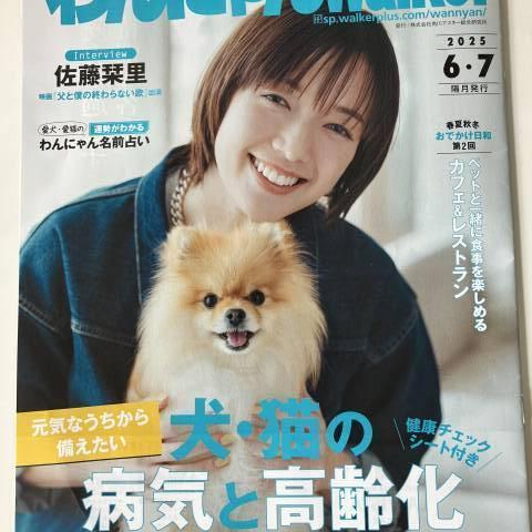 Skogのいえ広告を掲載しました～♬