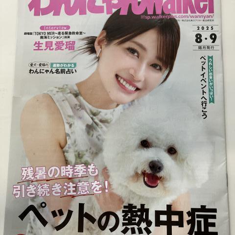 Skogのいえ広告掲載しました～♬