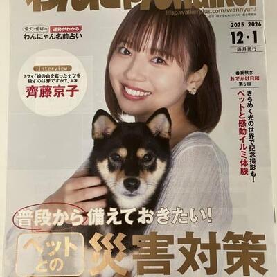 Skogのいえ広告掲載しました～♬