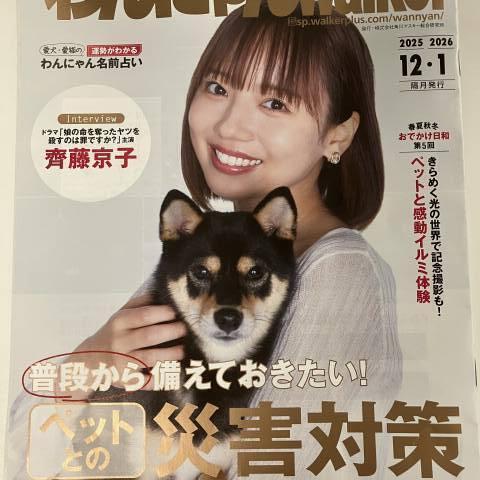 Skogのいえ広告掲載しました～♬