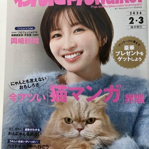 Skogのいえ広告掲載しました～♬