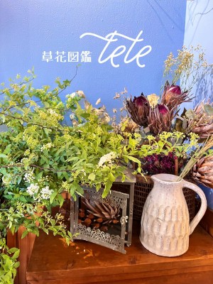 ⑫草花図鑑tete.jpg
