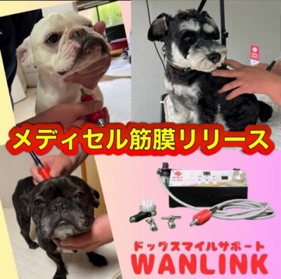 ⑰WANLINK.jpg